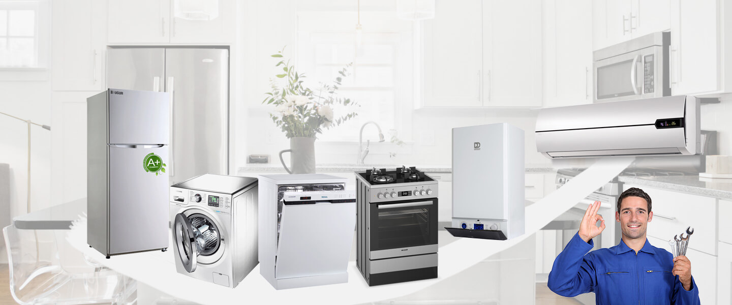 Susuz Warmhaus Servisi